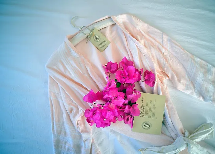 1901 Hermoupolis エルムポリ